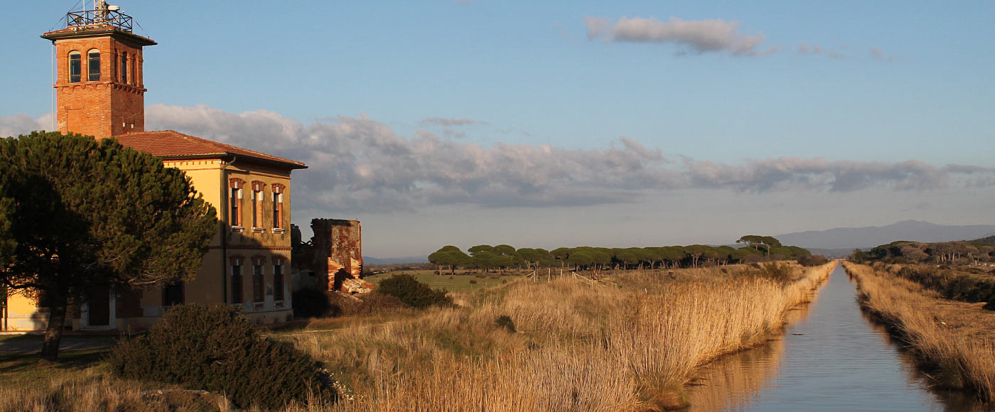 Parco Maremma Sito ufficiale del Parco