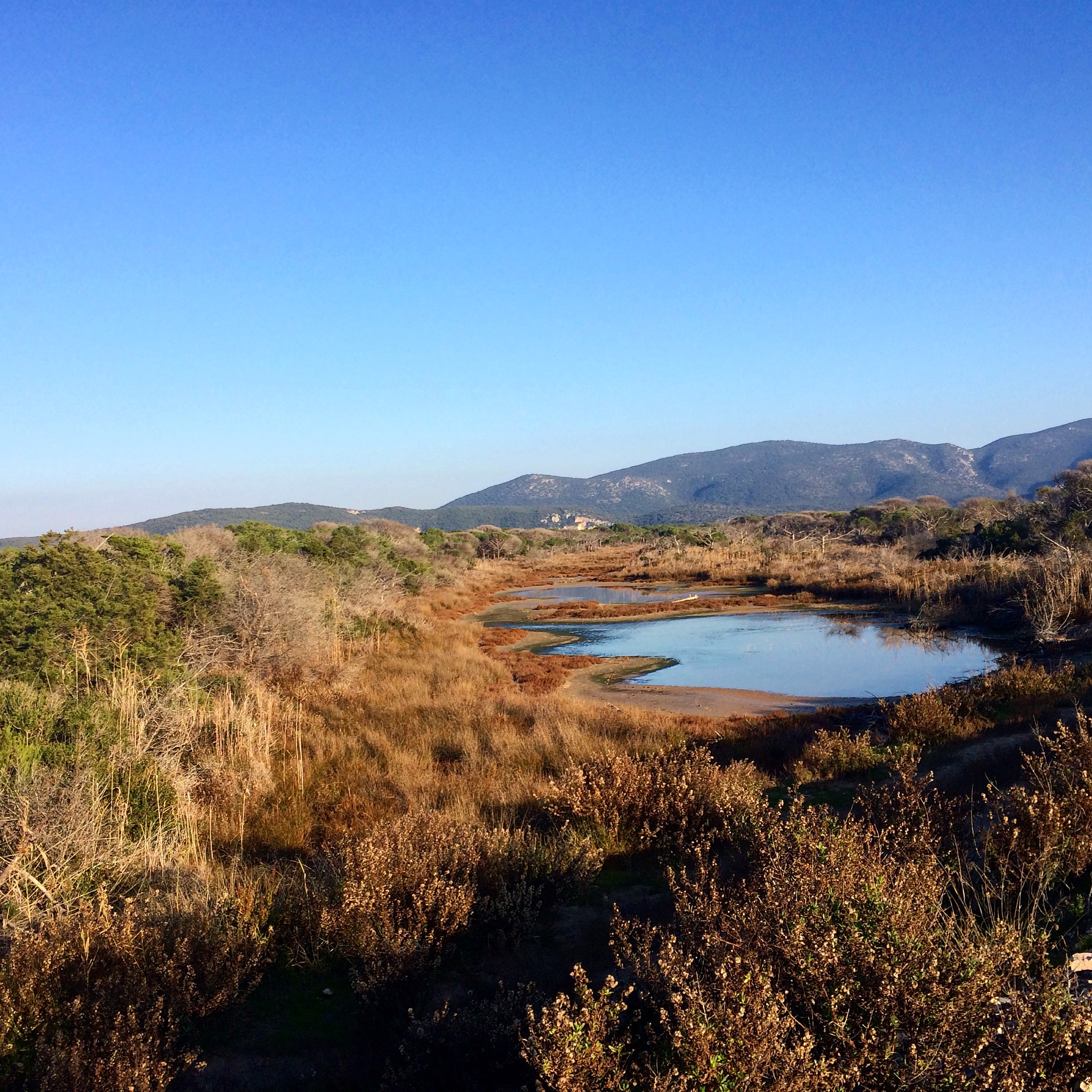 Il Parco della Maremma e le